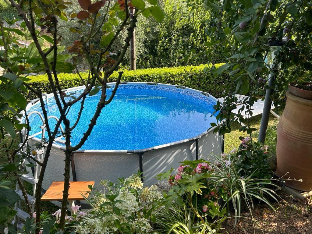 Casa Anna A Pietrasanta In Toscana Con Piscina 외부 사진