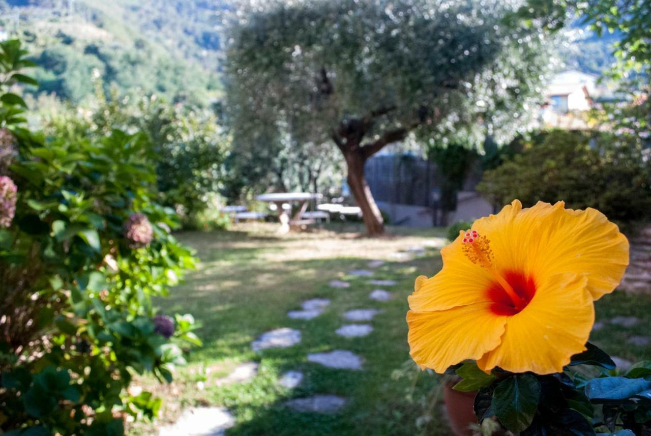 Casa Anna A Pietrasanta In Toscana Con Piscina 외부 사진